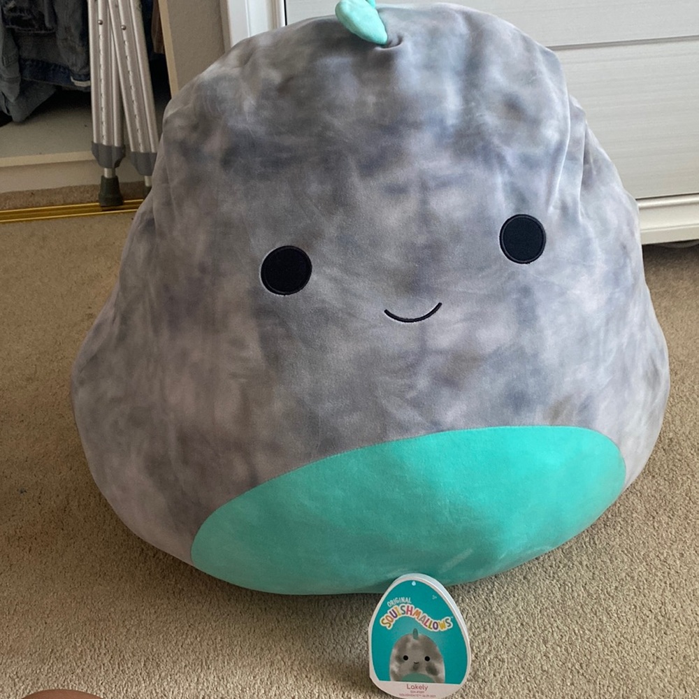 Hello my name is Zoey I am selling a Squishmallow it’s name is Lakely